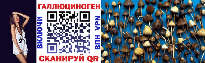 Галлюциногенные грибы мицелий  Купить  Баймак 